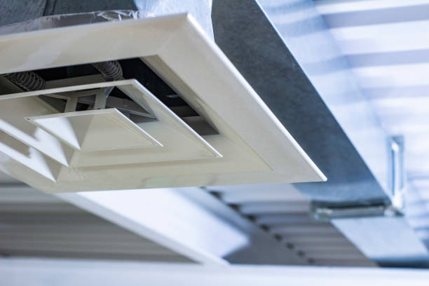 Best Air Duct Mold Removal  in Northumberland, PA
