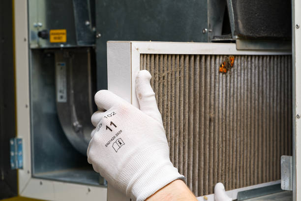 Best Emergency Air Duct Cleaning  in Northumberland, PA