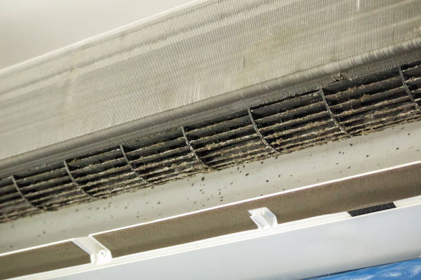 Best HVAC System Cleaning  in Northumberland, PA