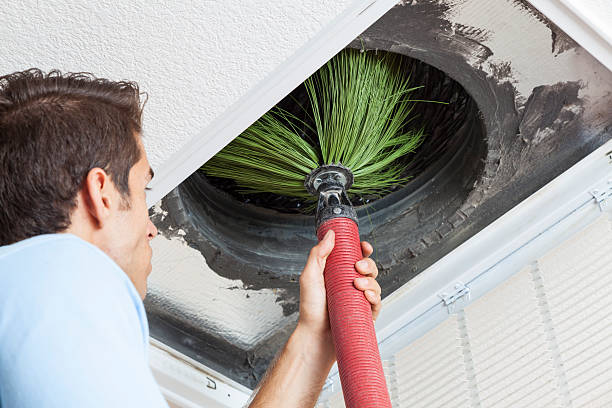 Air Duct Mold Removal in Northumberland, PA